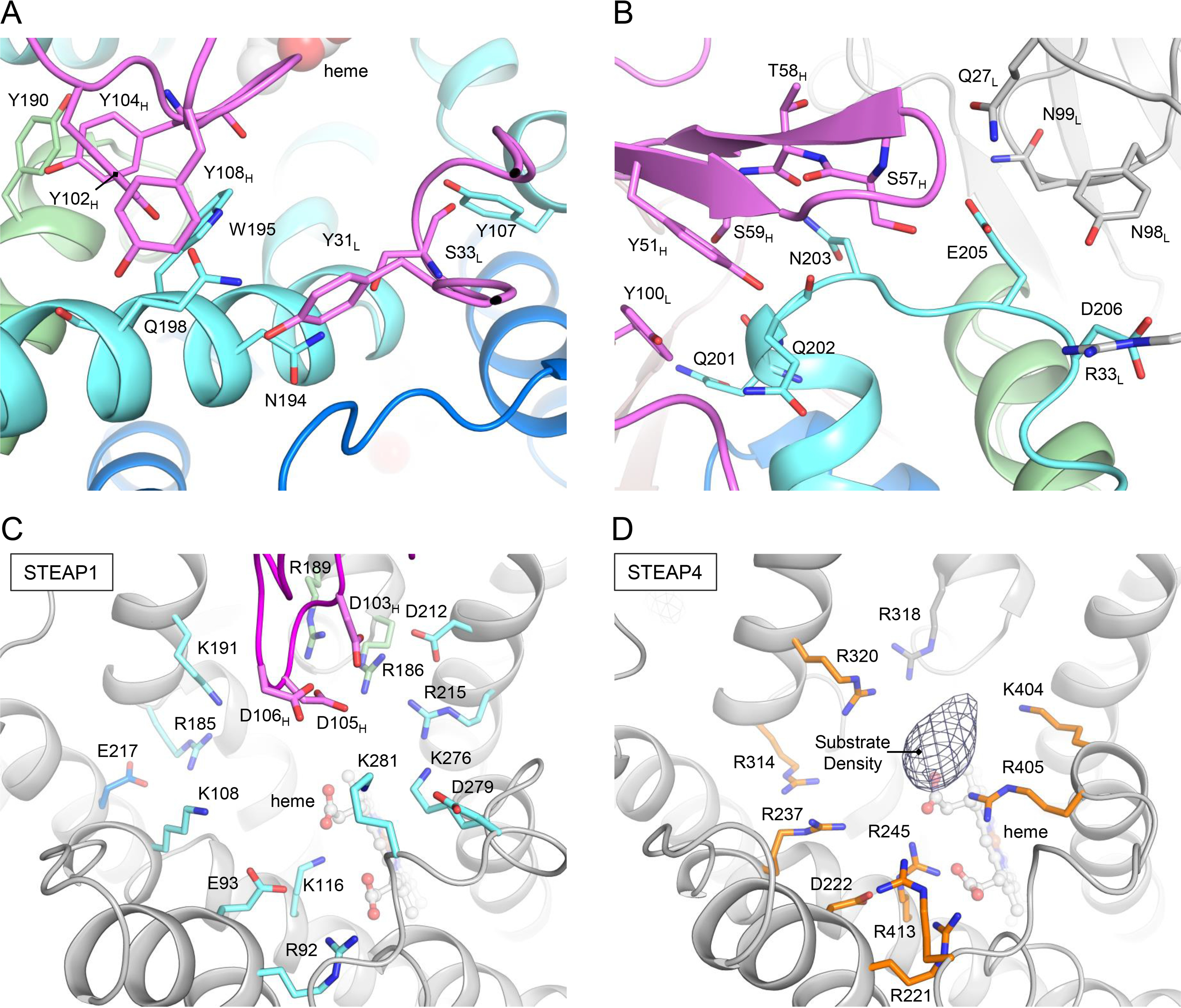 Figure 4.