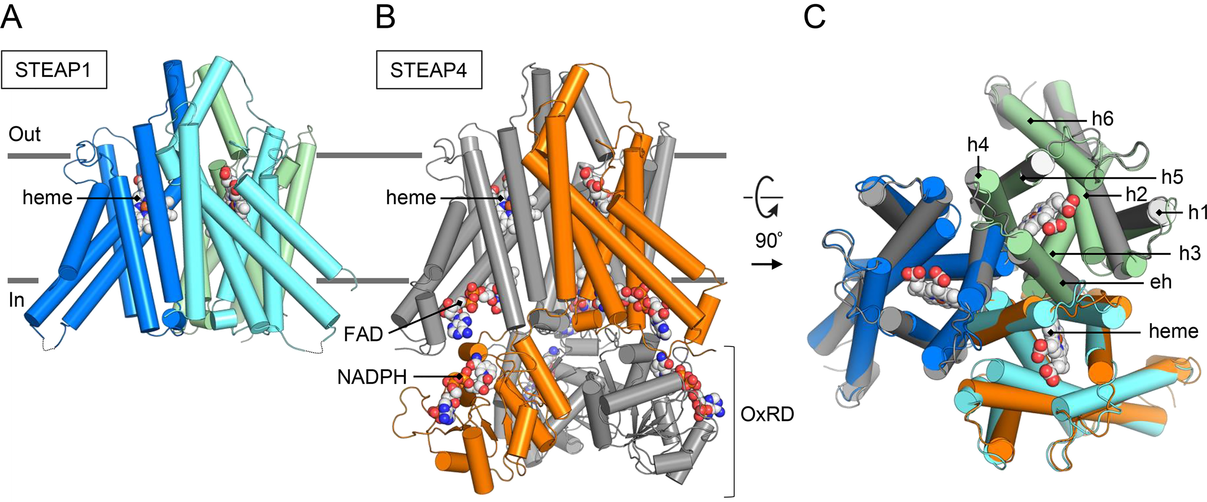 Figure 3.