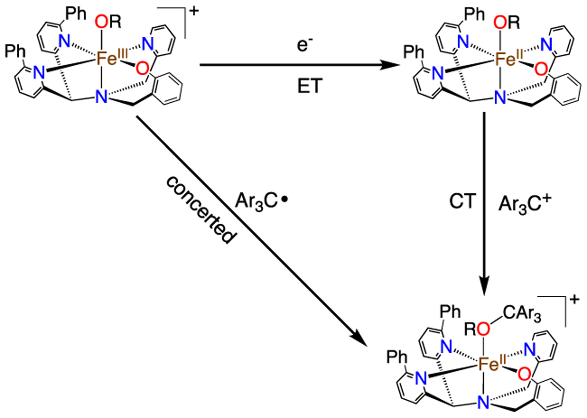 Scheme 3.