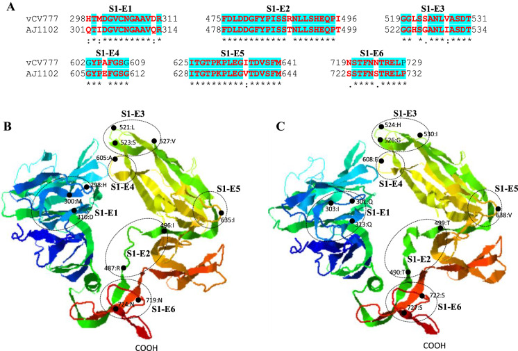 Figure 6