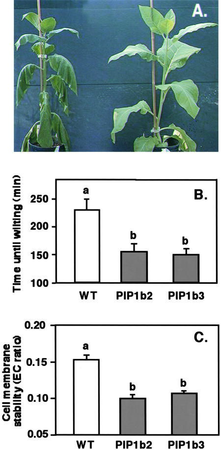 Figure 6.