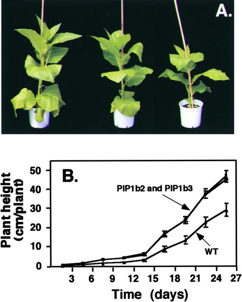 Figure 2.