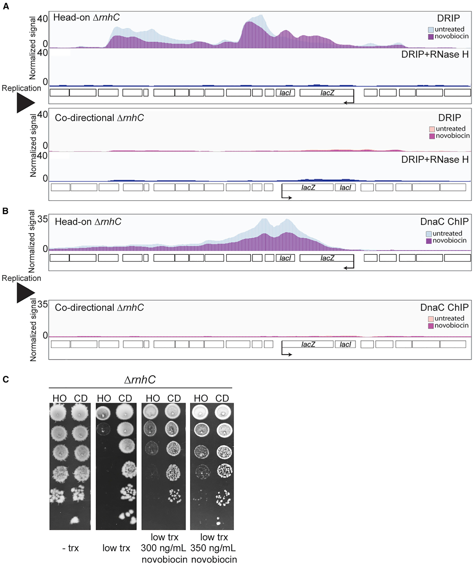 Figure 4.