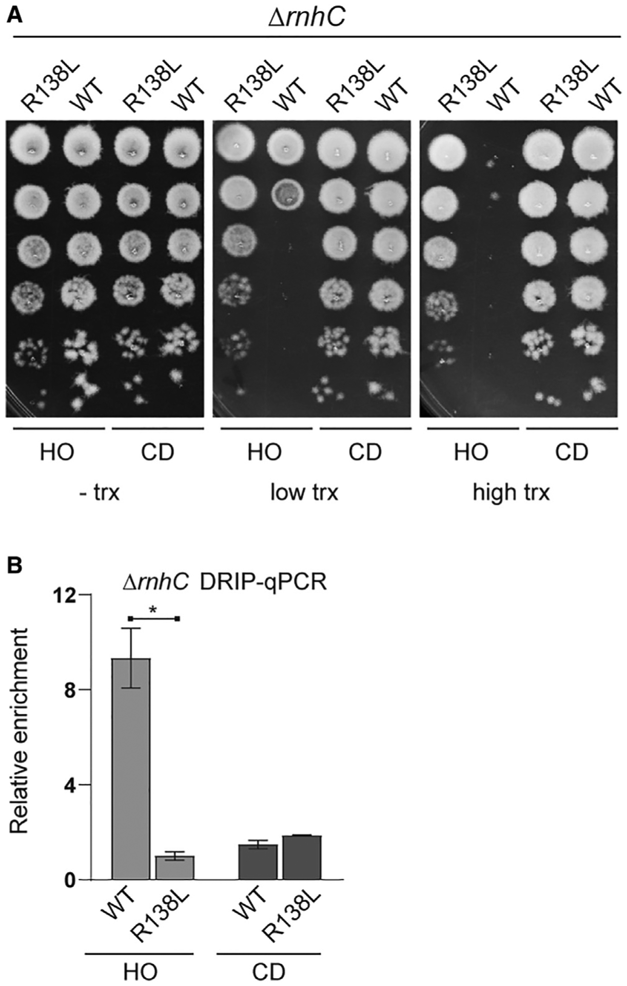 Figure 5.