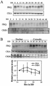 FIG. 5.