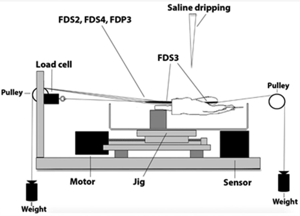 Figure 2