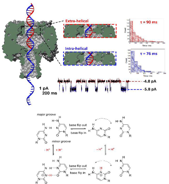 Figure 10.