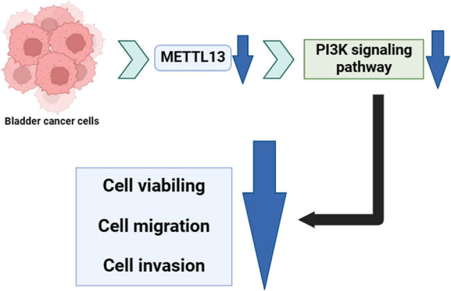 graphic file with name j_biol-2022-0981-ga001.jpg