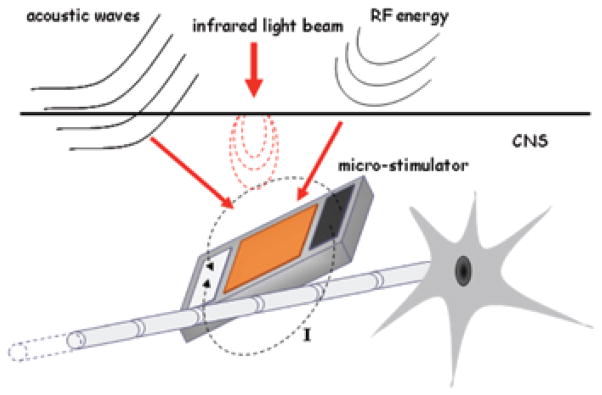 FIGURE 1