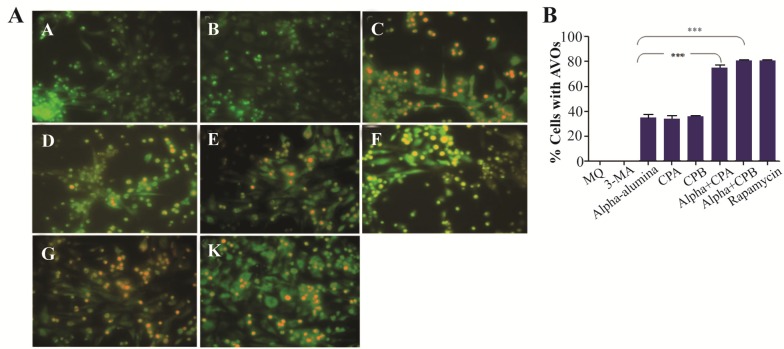 Figure 11.