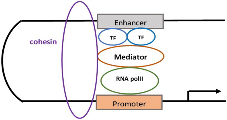 Fig. 1