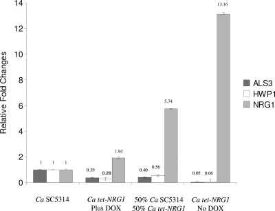 Fig. 3.