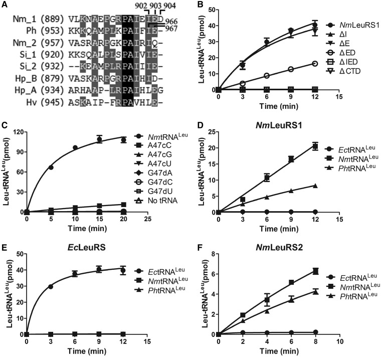 Figure 4.