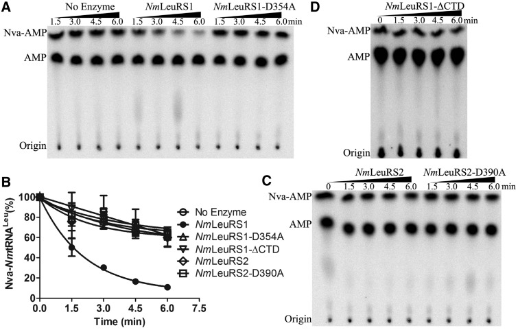 Figure 6.