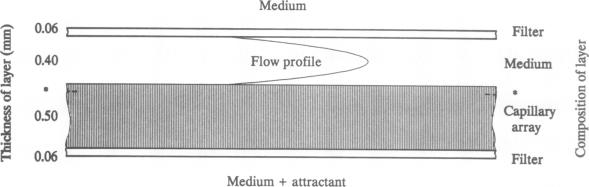 graphic file with name pnas01068-0252-a.jpg