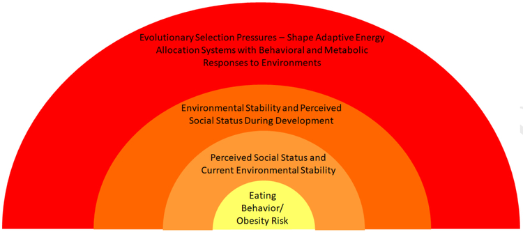 Figure 1: