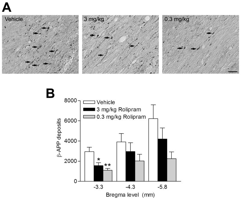 Fig 8