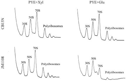 FIG. 8.