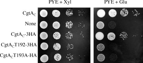 FIG. 6.