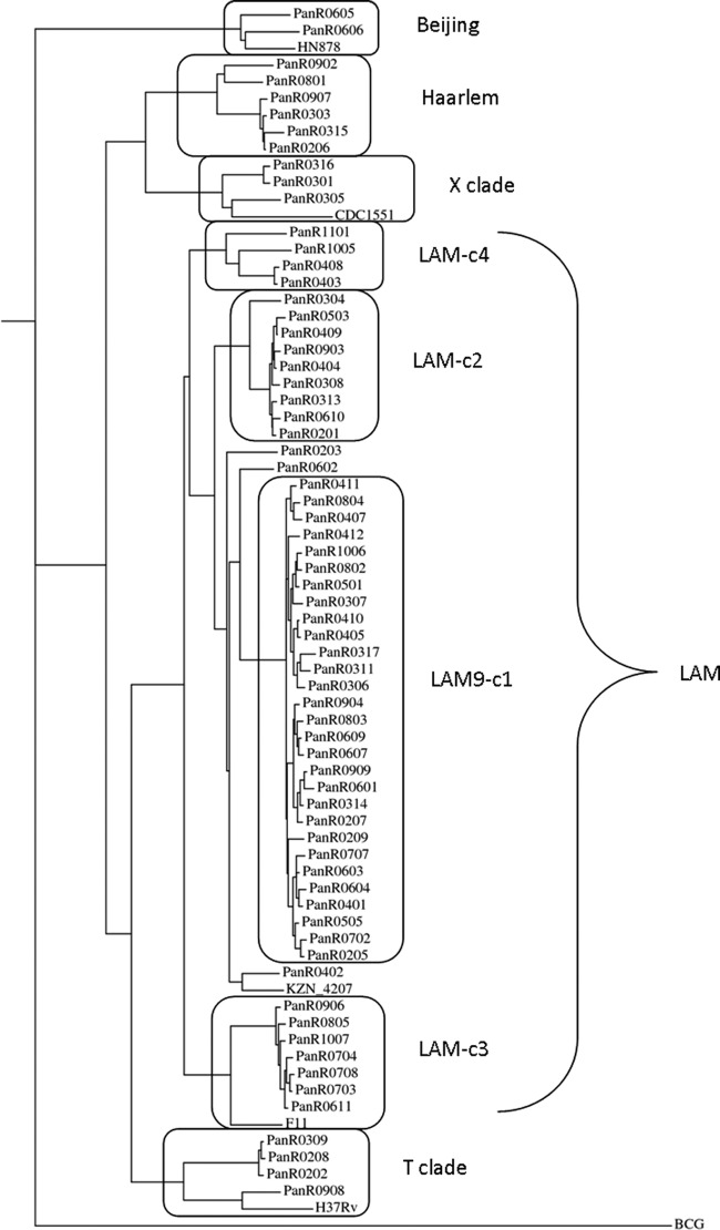 Fig 1