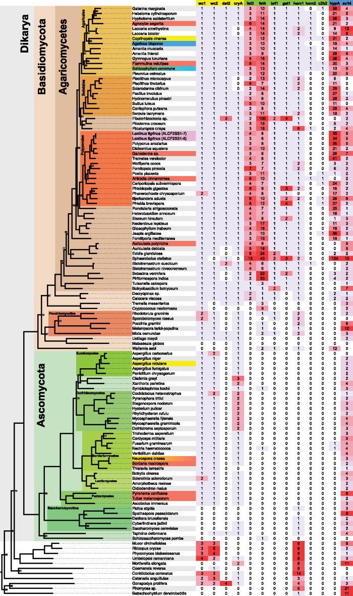 Fig. 4.