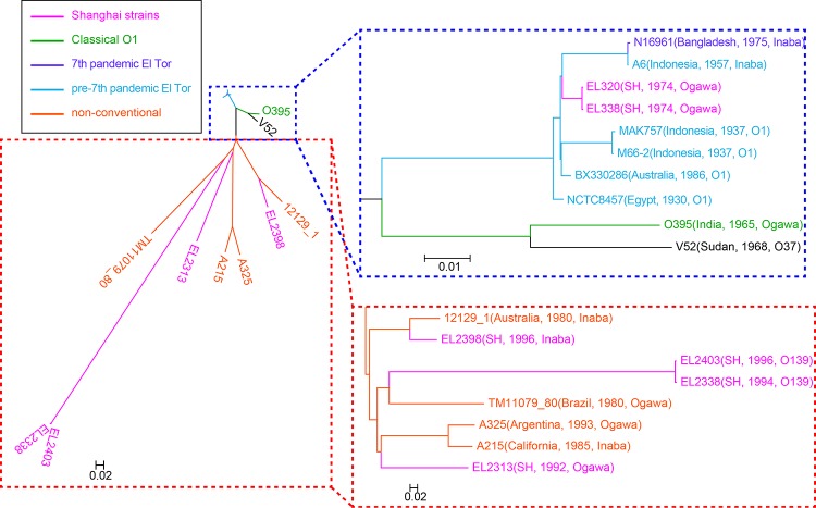 FIG 3