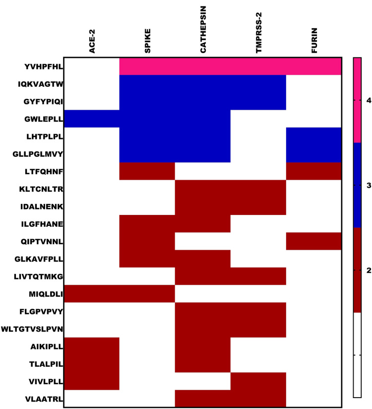 Fig. 4