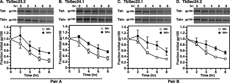 FIG 6