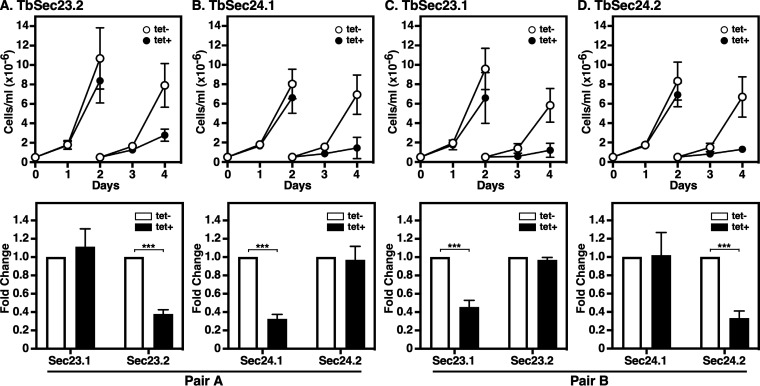 FIG 2