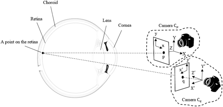 Fig. 9.