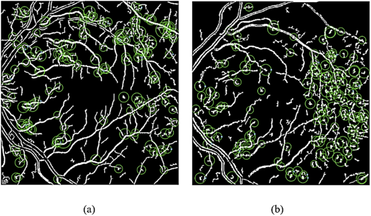 Fig. 6.