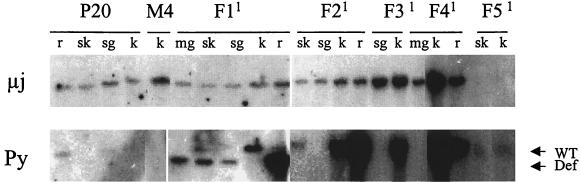 FIG. 7