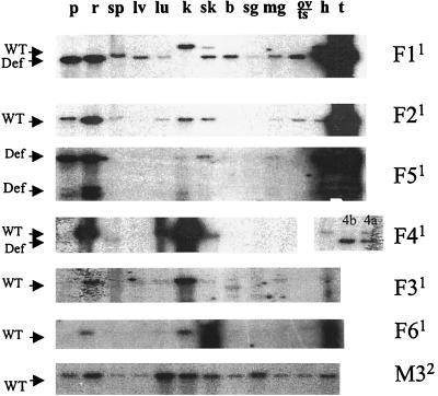 FIG. 5