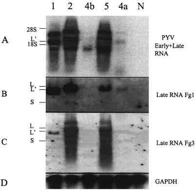 FIG. 4