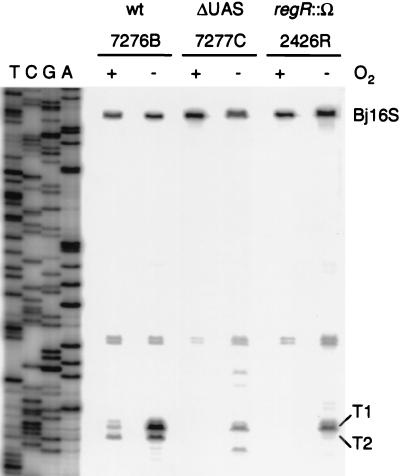 FIG. 7