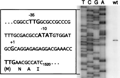 FIG. 9