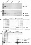 FIG. 5.