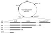 FIG. 3.