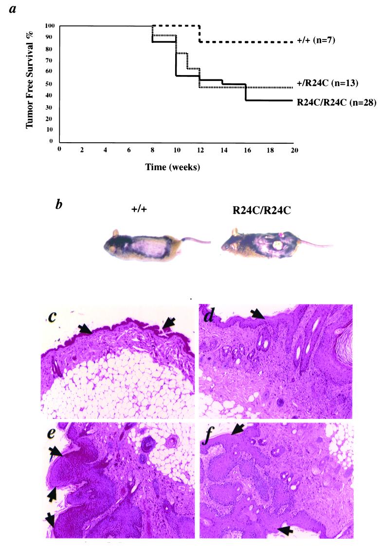 FIG. 7.