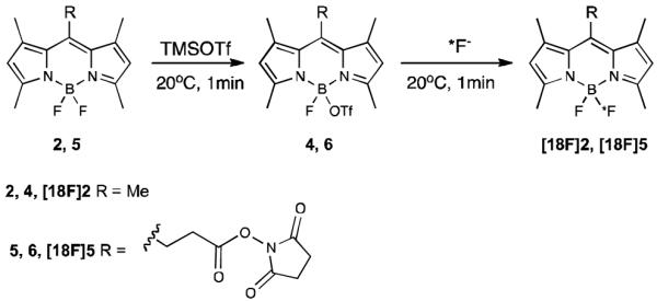 Scheme 3