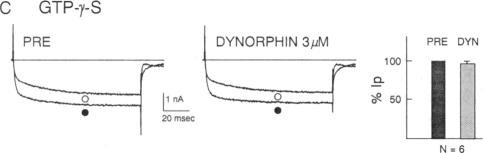 graphic file with name pnas01043-0108-c.jpg