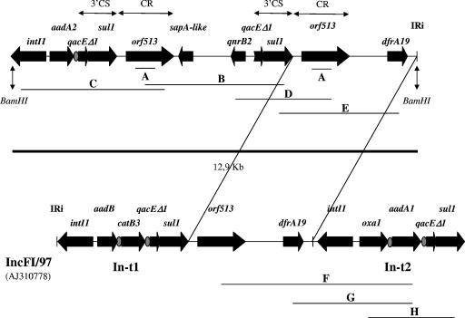 FIG. 1.