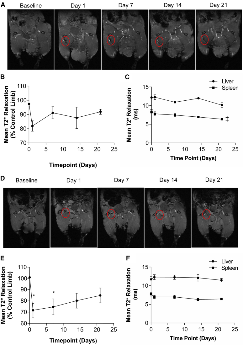 Figure 3