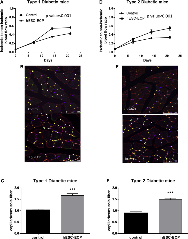 Figure 6