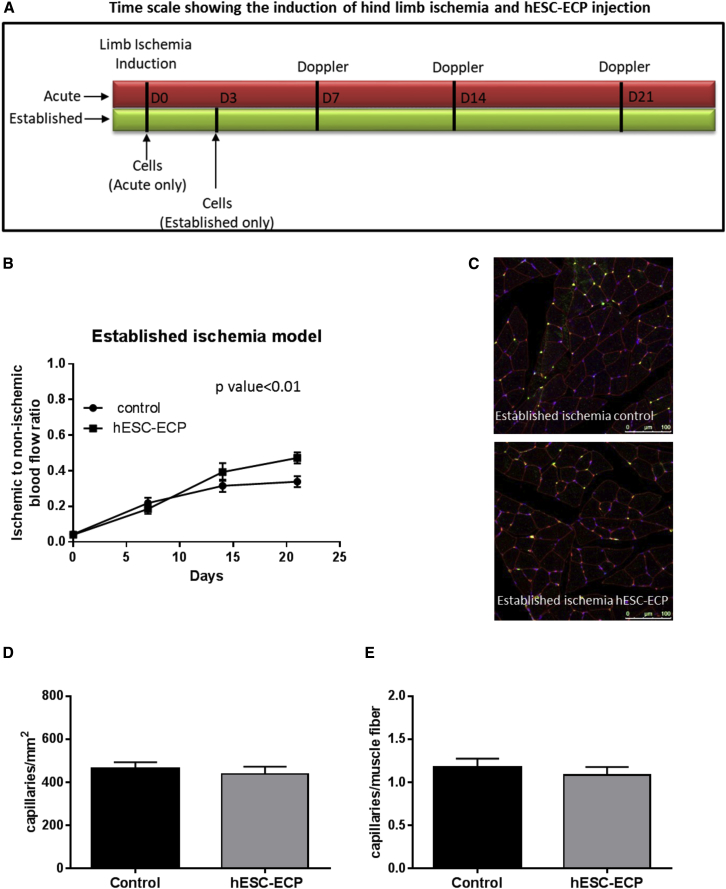 Figure 7