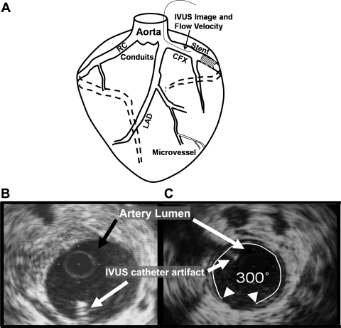 Fig. 1.