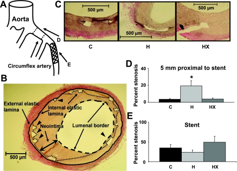 Fig. 3.