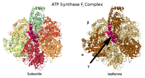 Figure 11