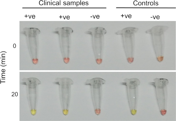 Fig. 4: