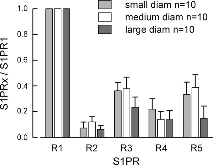 Fig. 6.